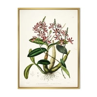 Дизајн на „Антички растителен живот vii“ Традиционално врамено платно wallидна уметност печатење